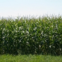 Farm Montville Duchek 6586
